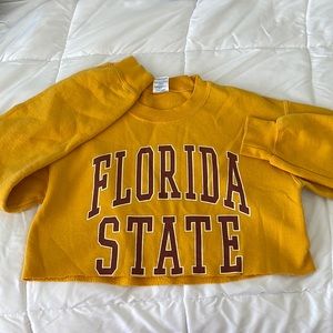 Vintage fsu sweatshirt crewneck